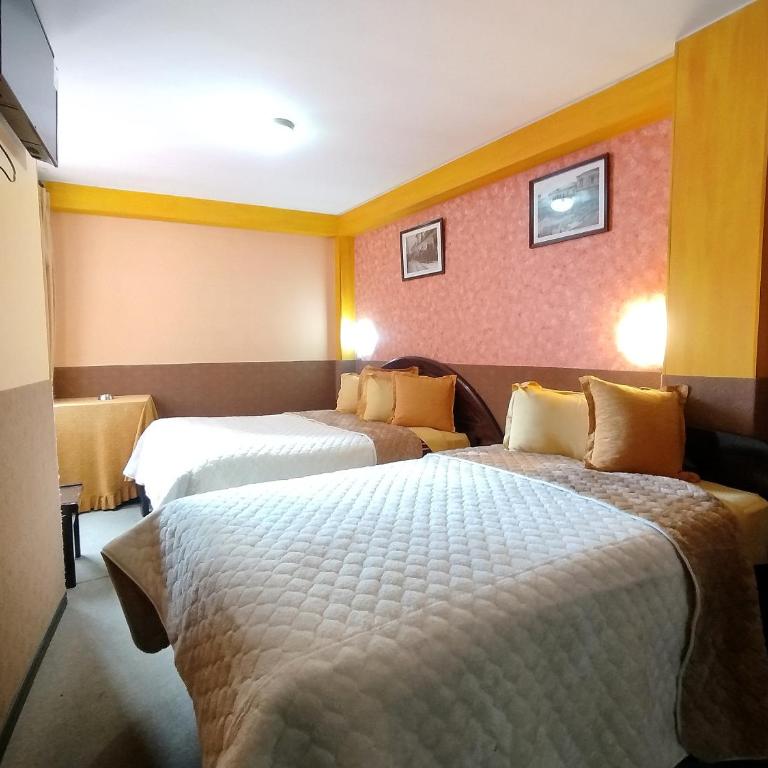 Hotel Condeza - Habitación Doble Estándar - 5