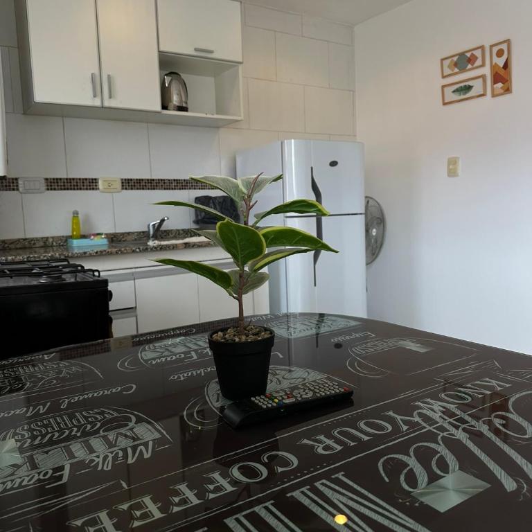 Lapacho - Apartamento de 1 dormitorio - 7