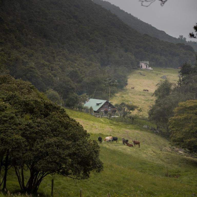 Cabaña Yarumero OVNI en las Montañas Tabio - Chalet de 3 dormitorios - 21