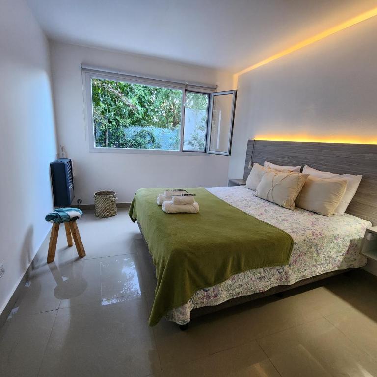 Luz de Sol - Apartamento de 1 dormitorio - 5