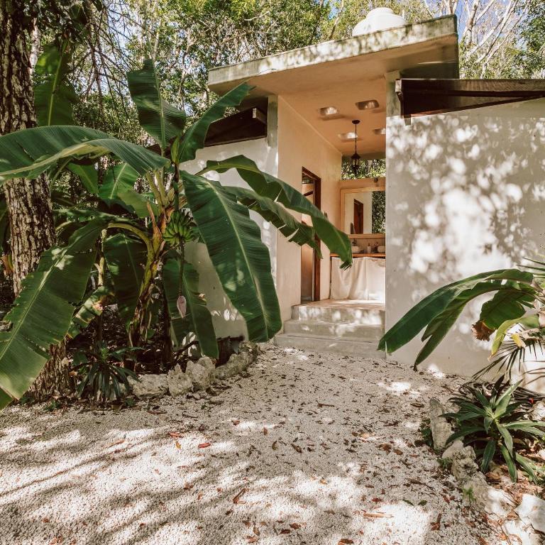 Casa Arkaana Eco Retreat - Casa de 8 dormitorios - 28