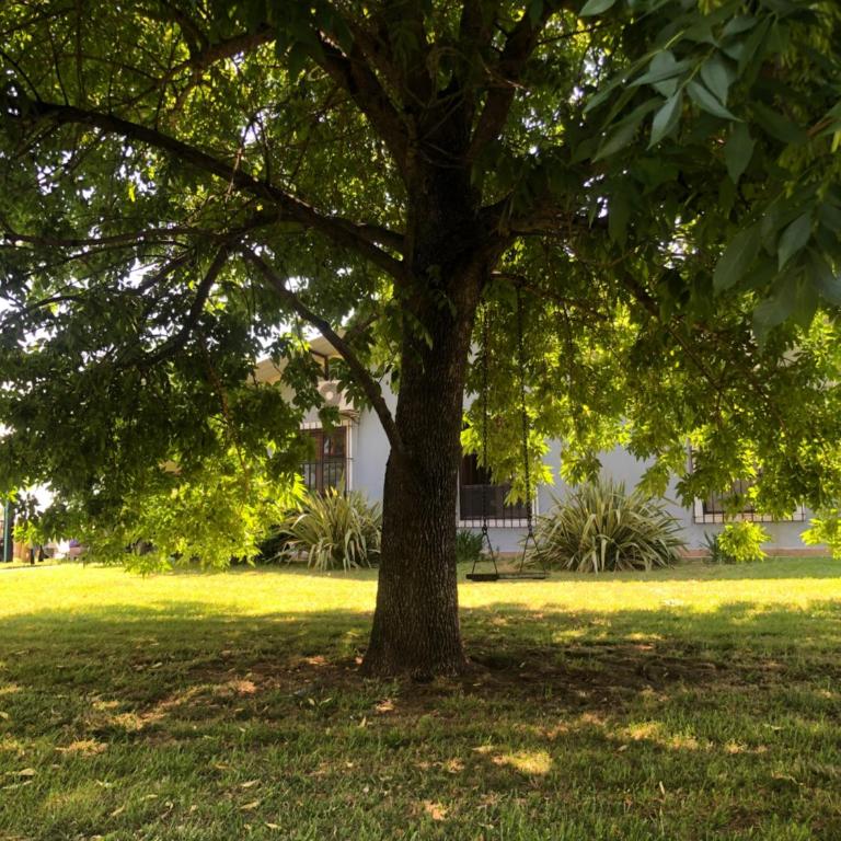 Capilla Origen - Four-Bedroom House - 20