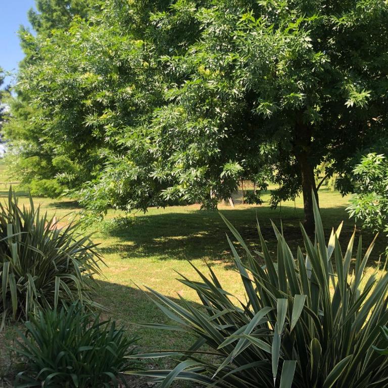 Capilla Origen - Four-Bedroom House - 25