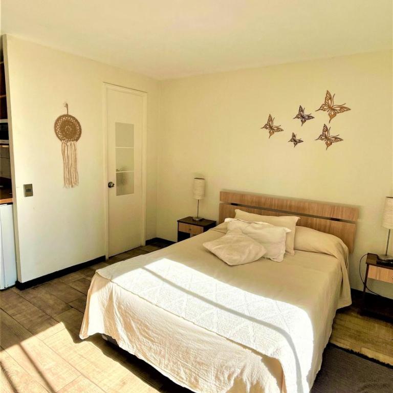 B&M Alquiler diario - Apartamento Estudio - 13