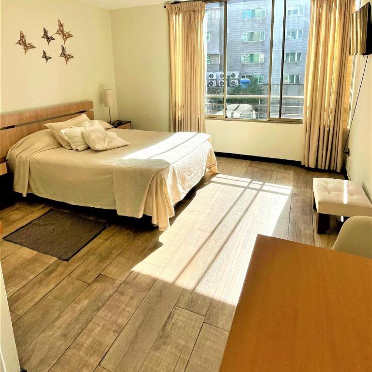 B&M Alquiler diario - Apartamento Estudio - 15