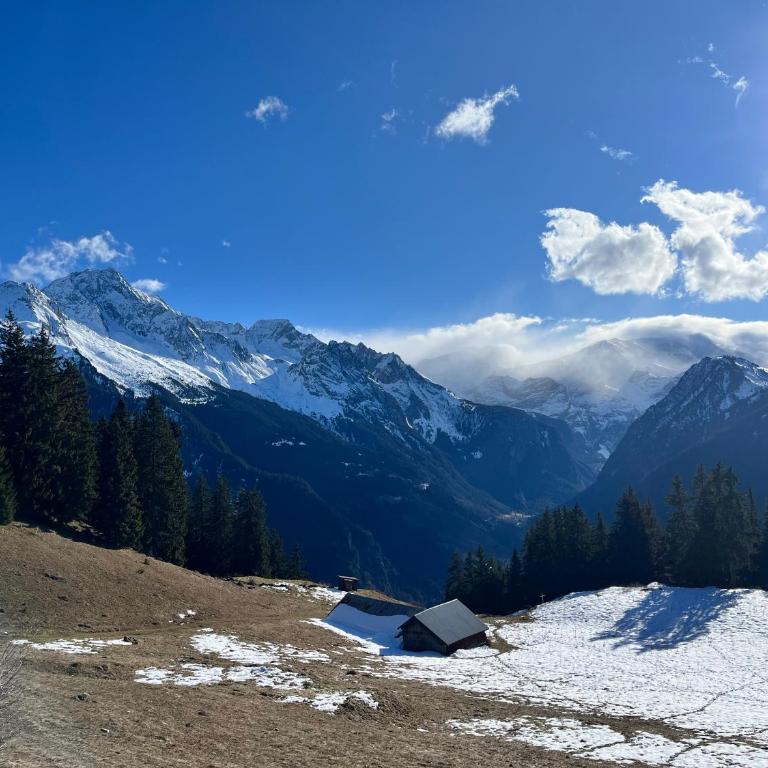Chalet école des cimes - Chalet - 57