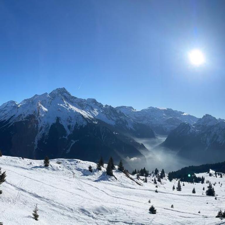 Chalet école des cimes - Chalet - 60