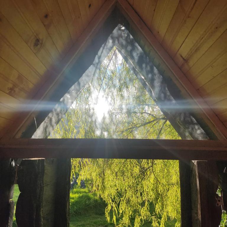 Iwoka Ecoturismo - Chalet - 5