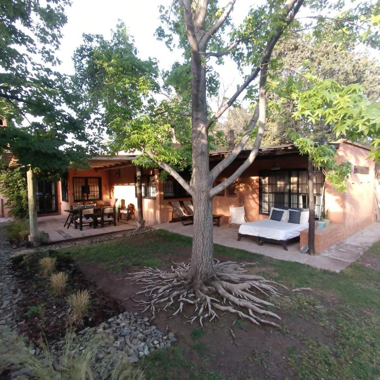 Casa Darragueira de Chacras de Coria - Casa - 12