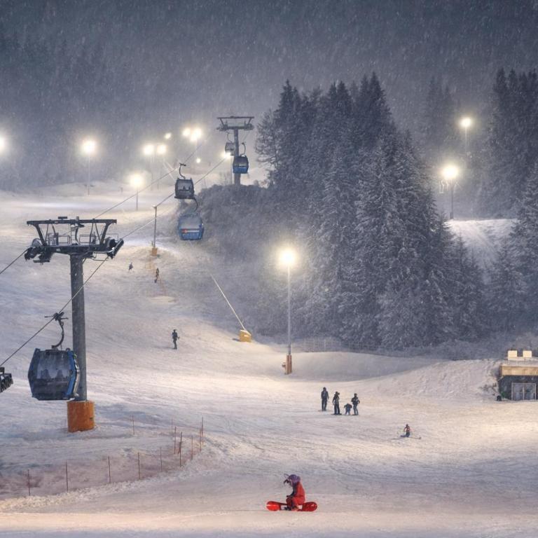 Mountain View -ski & mountain retreat, Apartment 01 PRIZEMLJE u Premium objektu - Apartman s 1 Spavaćom Sobom i Terasom - 16