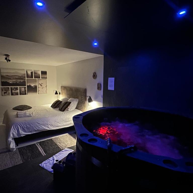 Suite Nordique - Cinéma et Jacuzzi - Appartement 1 Chambre - 2