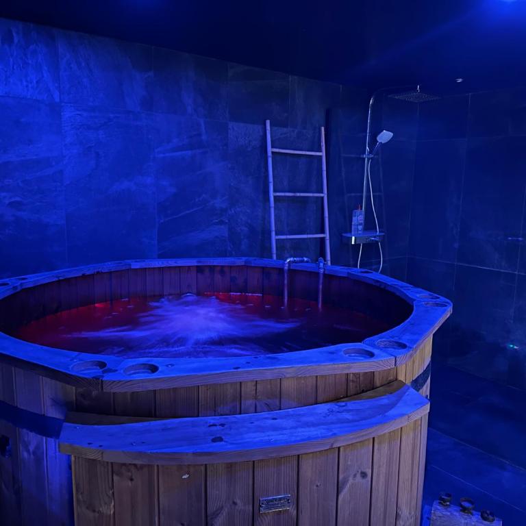 Suite Nordique - Cinéma et Jacuzzi - Appartement 1 Chambre - 1