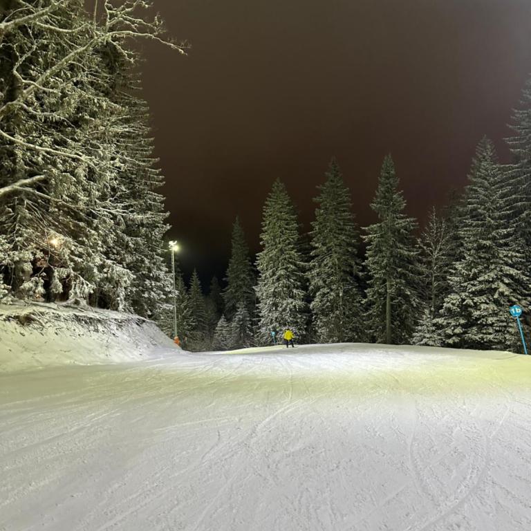 Krčma Jahorina - One-Bedroom Apartment - 6