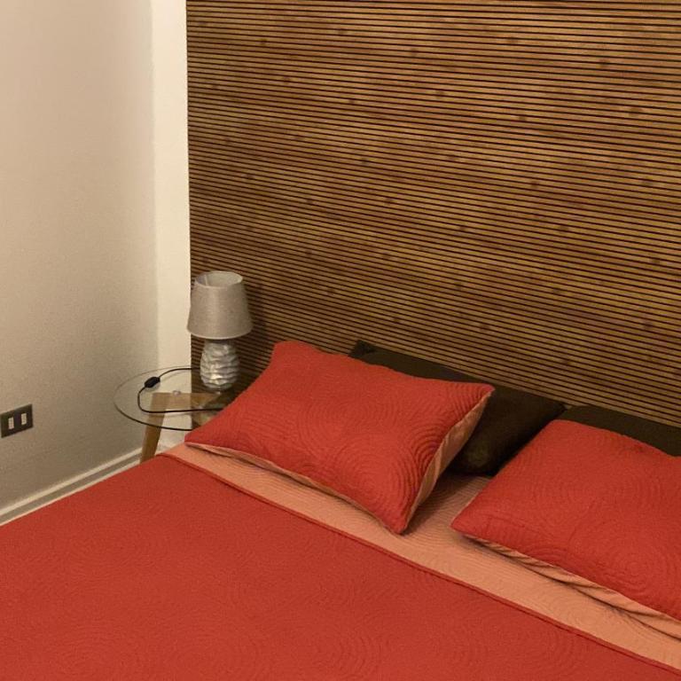 Villarrica Céntrico - Apartamento de 3 dormitorios con balcón - 9