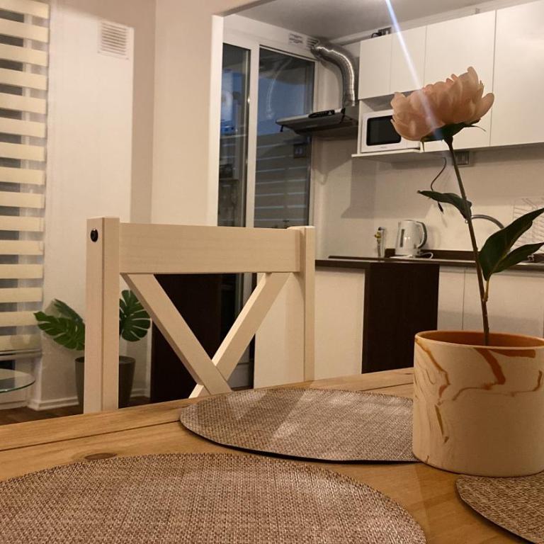 Villarrica Céntrico - Apartamento de 3 dormitorios con balcón - 12