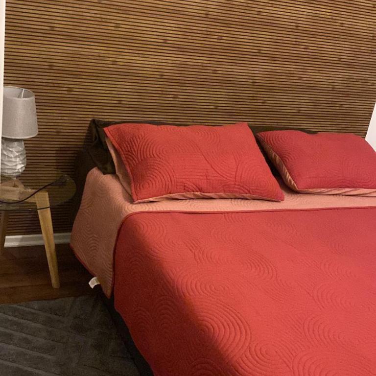 Villarrica Céntrico - Apartamento de 3 dormitorios con balcón - 14