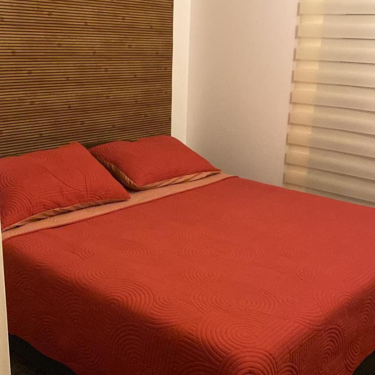 Villarrica Céntrico - Apartamento de 3 dormitorios con balcón - 16