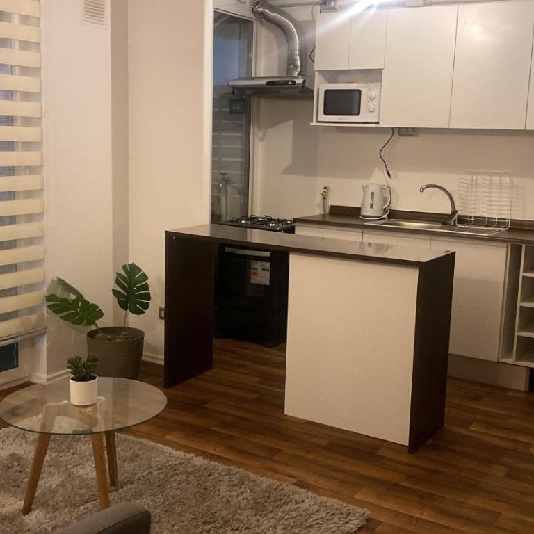 Villarrica Céntrico - Apartamento de 3 dormitorios con balcón - 19
