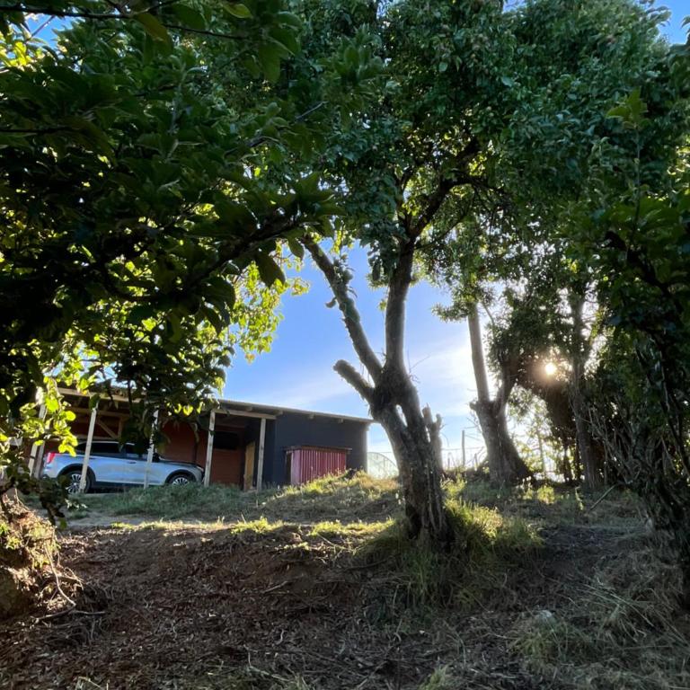 Chiloé,Curaco de Velez casa de veraneo - Vacation Home - 56