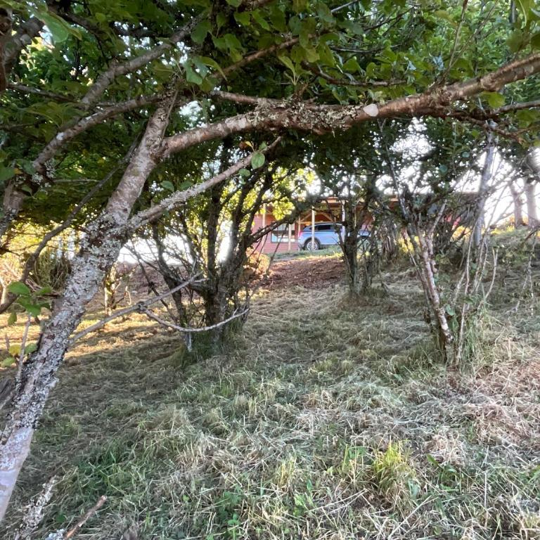 Chiloé,Curaco de Velez casa de veraneo - Vacation Home - 59
