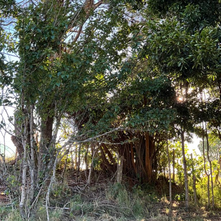 Chiloé,Curaco de Velez casa de veraneo - Vacation Home - 62