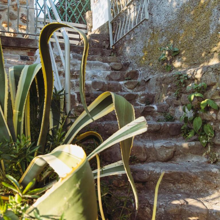 La casa di Maurizio - Casa con 2 Camere da Letto - 44