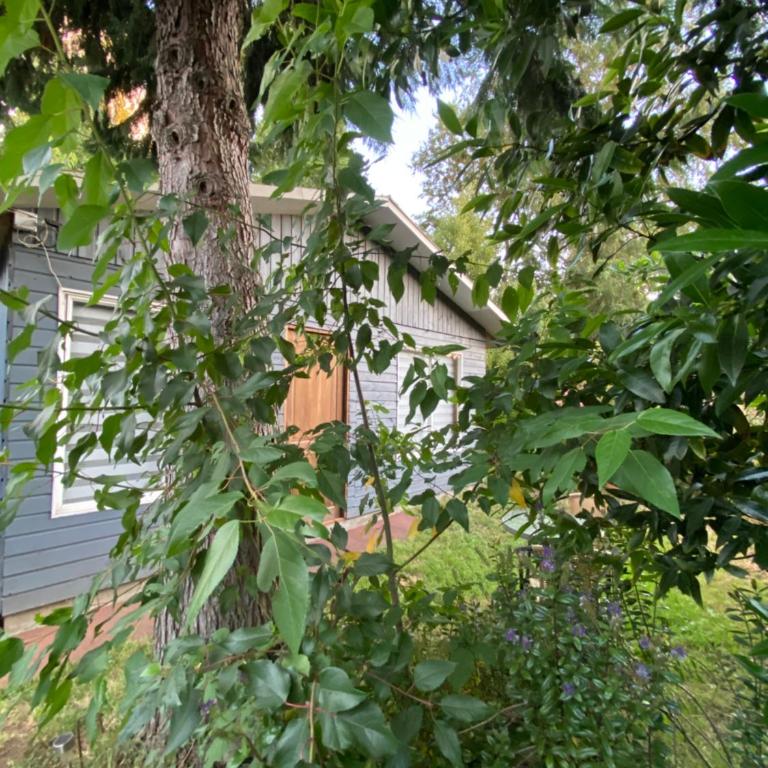 Cabaña Cunco Los Alamos a 300 metros del Centro - Two-Bedroom House - 2