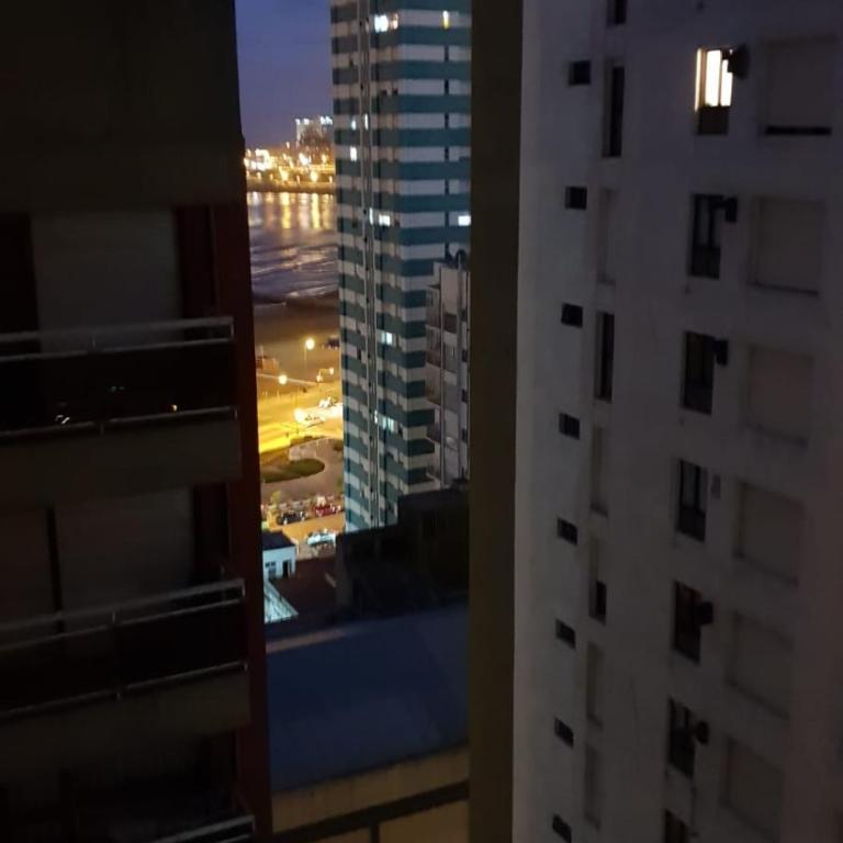 Paseo Davila Centro - Apartamento de 1 dormitorio - 2