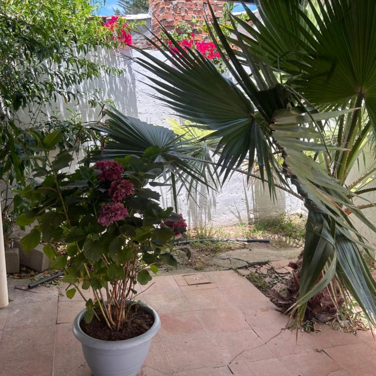 Alquiler Casa en La Paloma - Casa de 2 dormitorios - 10