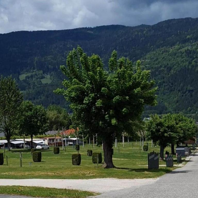 Premium Mobile home near Lake Ossiach - Mobilheim mit 2 Schlafzimmern - 7