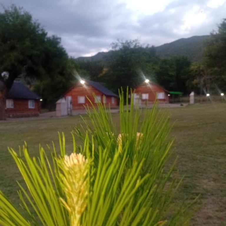 Posta Nativa - Apartamento de 2 dormitorios - 19