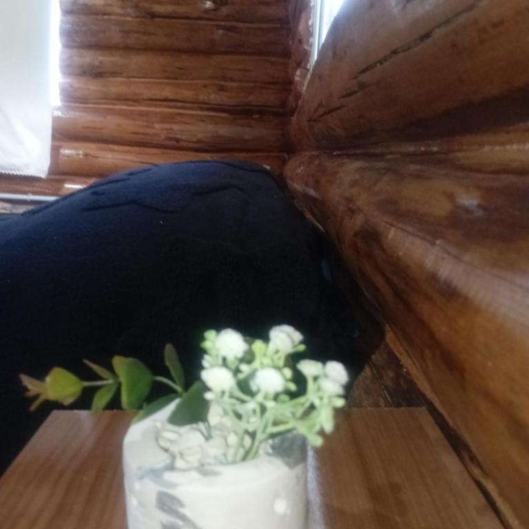 Posta Nativa - Apartamento de 2 dormitorios - 21