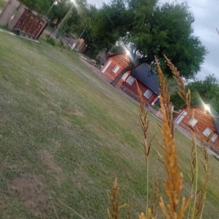 Posta Nativa - Apartamento de 2 dormitorios - 9