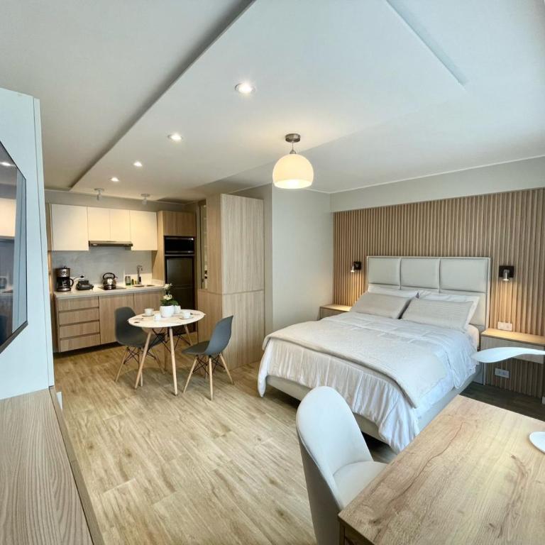 Loft Estudio cocina y lavandería en Miraflores 201 - Deluxe Double Studio - 1