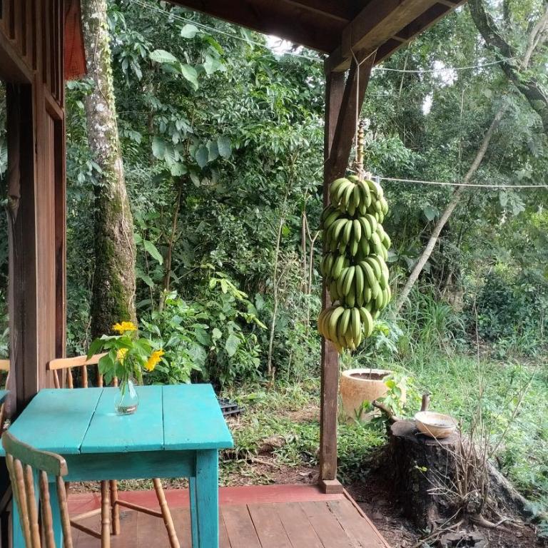 Nativa Iguazu - Cabaña con vistas al jardín - 16