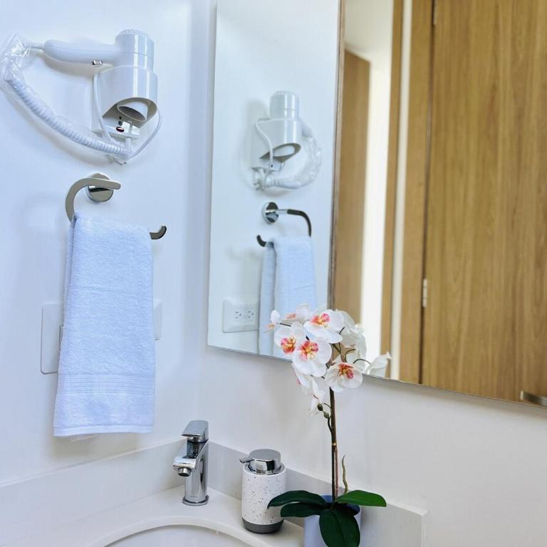 Salguero Sunset - One-Bedroom Apartment - 15