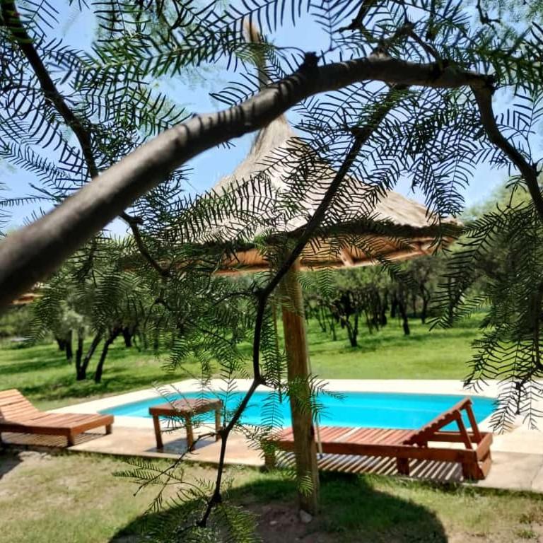 Cabañas don coco - Casa con 1 dormitorio - 3