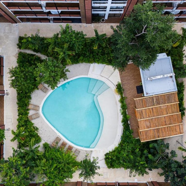 family apartment in Tulum - Apartamento - 12