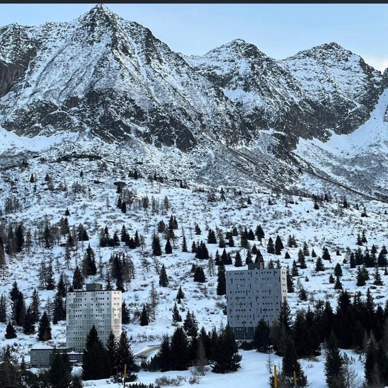 Il nido delle Alpi - Appartamento con 1 Camera da Letto - 28