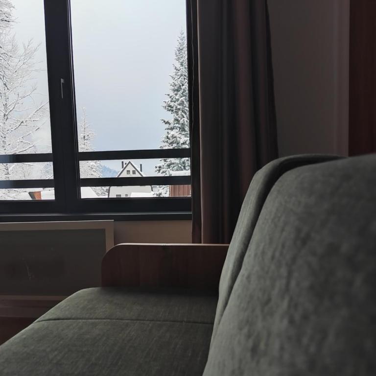 Monte Casa Jahorina - One-Bedroom Apartment - 13