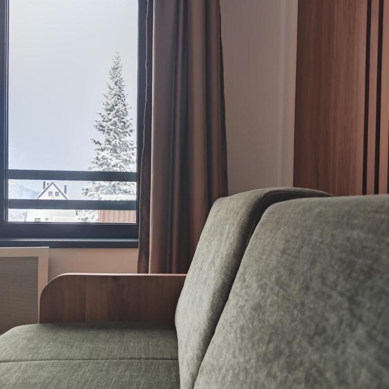 Monte Casa Jahorina - One-Bedroom Apartment - 14