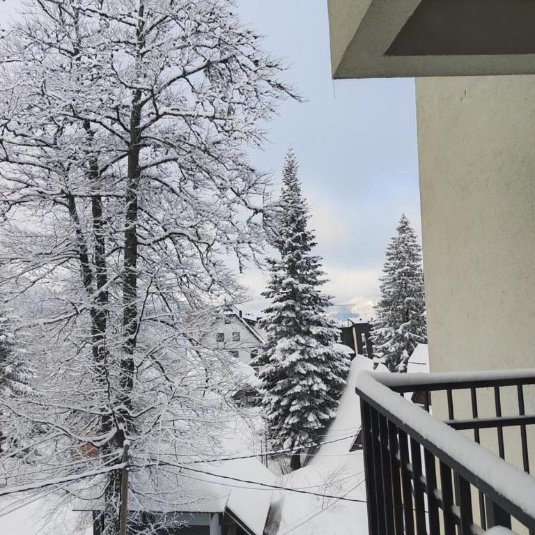 Monte Casa Jahorina - Two-Bedroom Apartment - 15