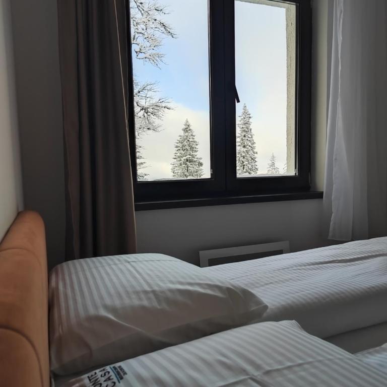 Monte Casa Jahorina - Two-Bedroom Apartment - 18