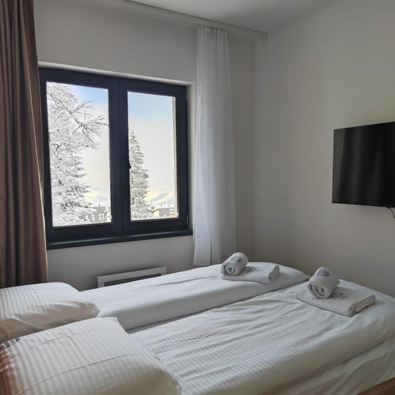 Monte Casa Jahorina - Two-Bedroom Apartment - 19