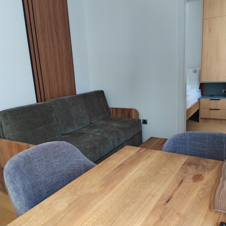 Monte Casa Jahorina - One-Bedroom Apartment - 6