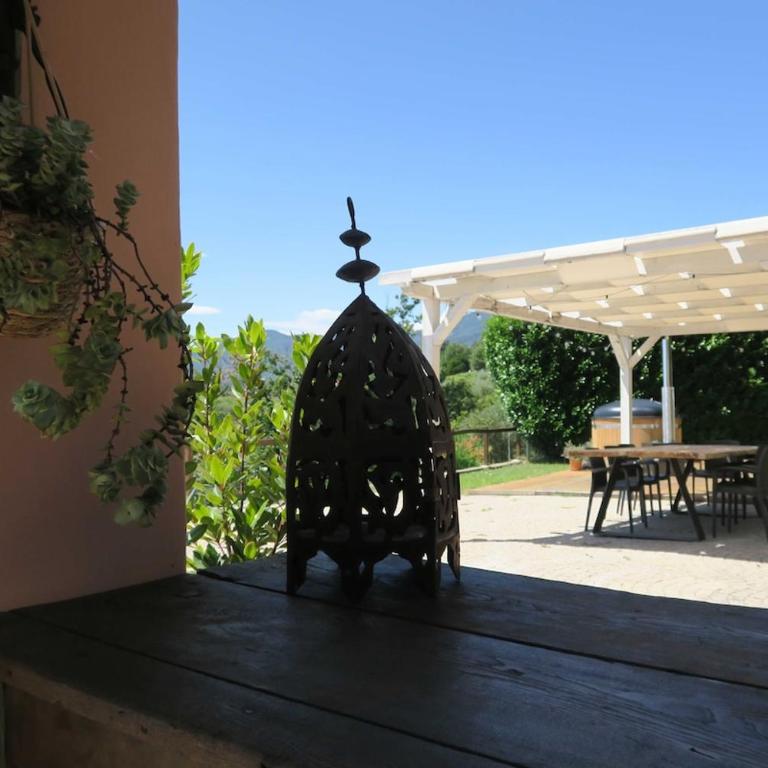 Tra gli ulivi e le stelle - Country House - Appartamento con 2 Camere da Letto - 14