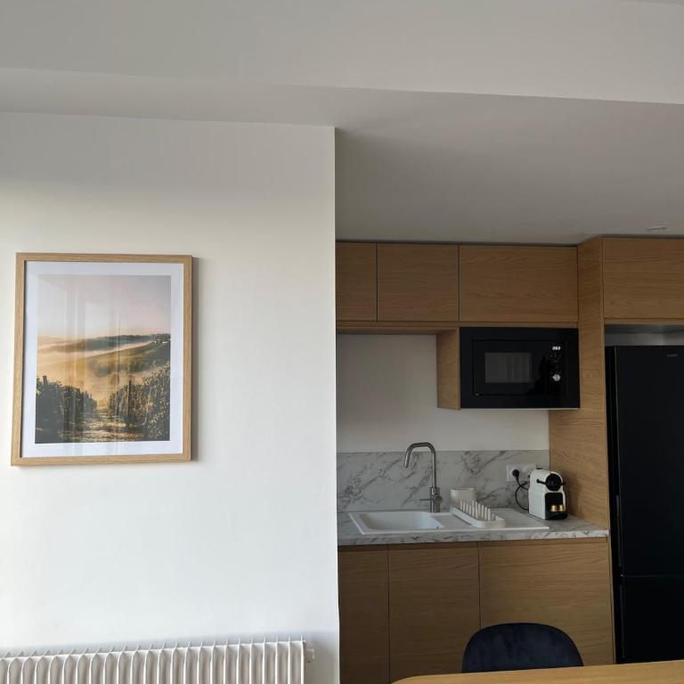 Bright apartment with panoramic views Dijon - Two-Bedroom Apartment - 7