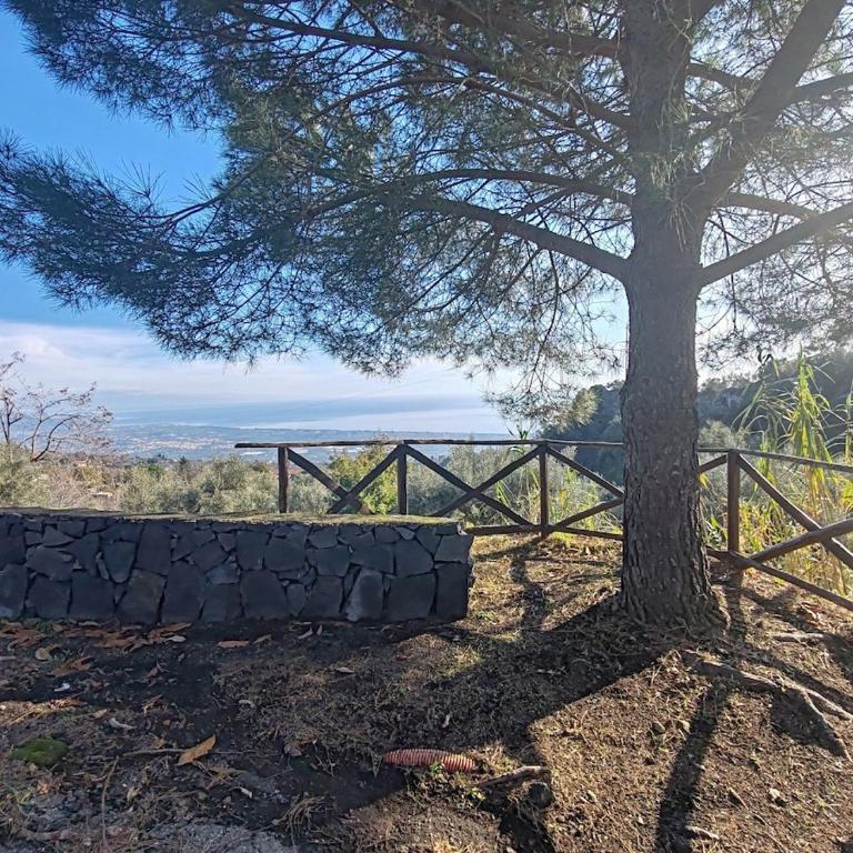 Dimora sull'Etna immersa tra le colate laviche - Casa con 1 Camera da Letto - 15