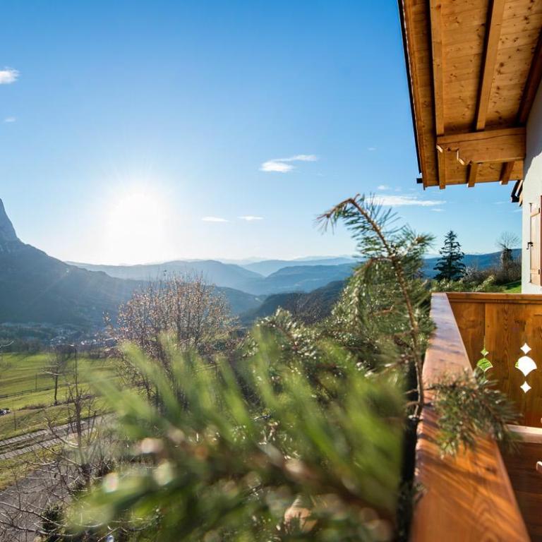 Triefer Hof - Appartamento con 1 Camera da Letto, Balcone e Vista Montagna - 1