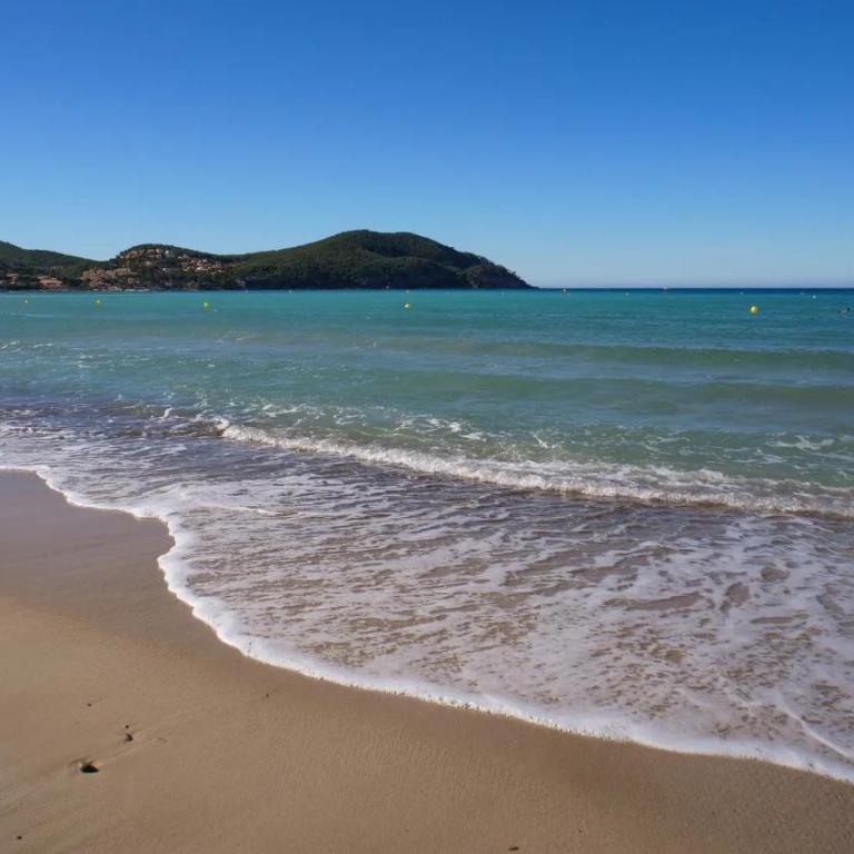 Carré d'or à 200 m de la plage des Lecques - Appartement 1 Chambre - 8